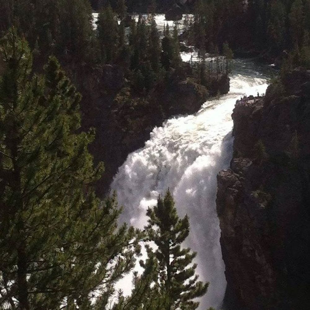 Meet your Posher, Ruth